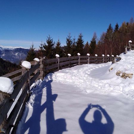 Baita del Nonno dei Pitoi Villa Bedollo Esterno foto