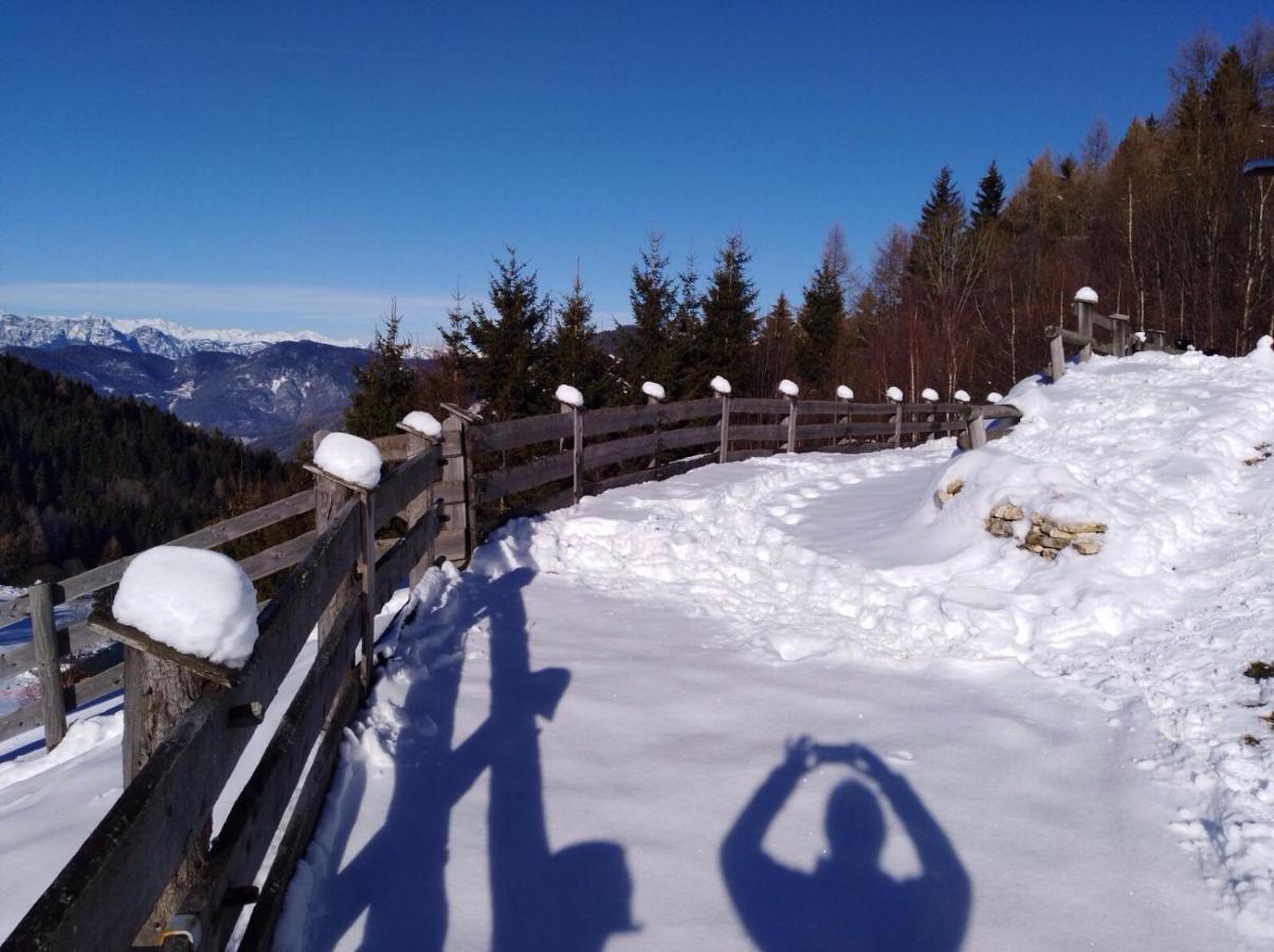 Baita del Nonno dei Pitoi Villa Bedollo Esterno foto