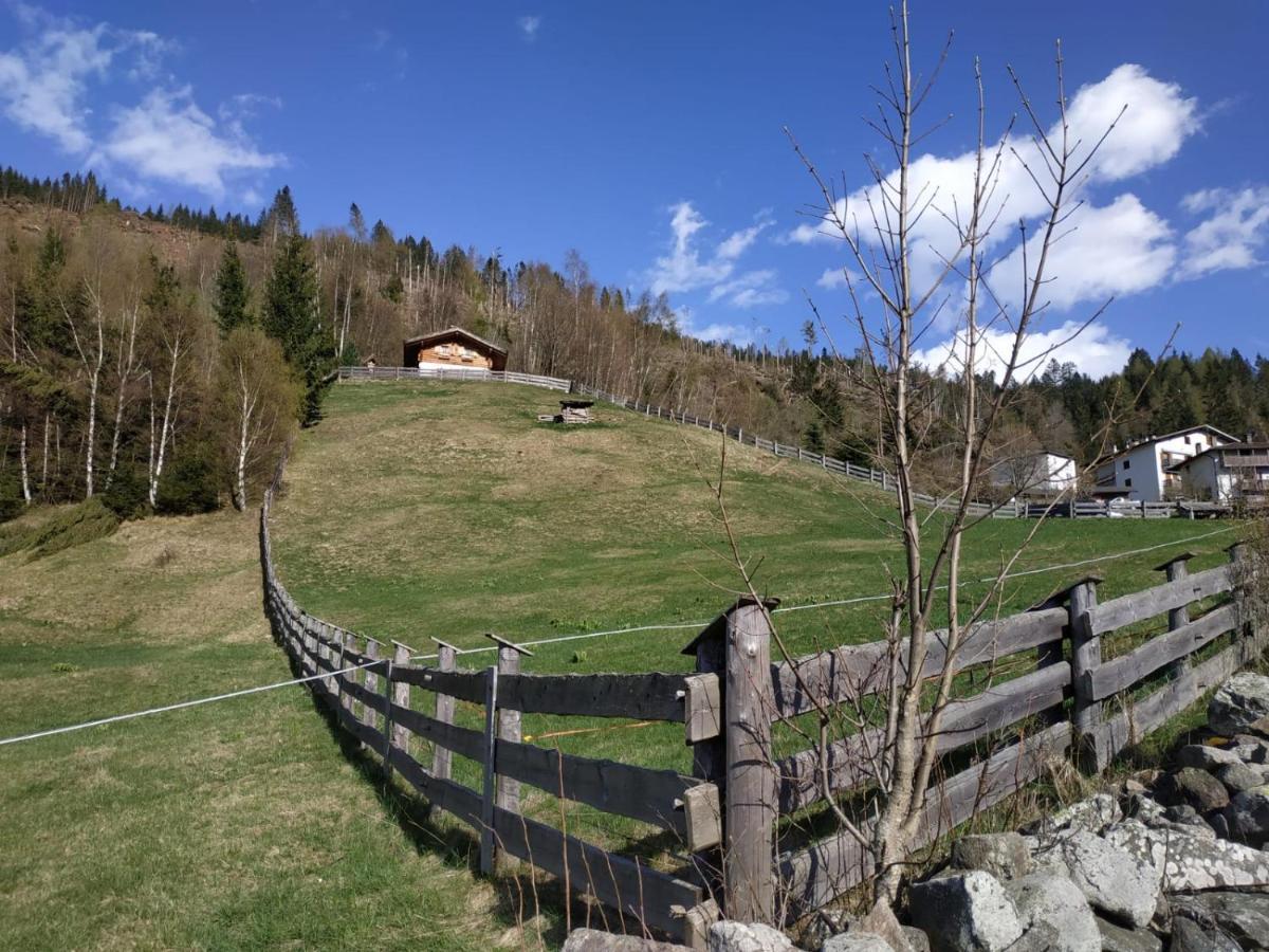 Baita del Nonno dei Pitoi Villa Bedollo Esterno foto